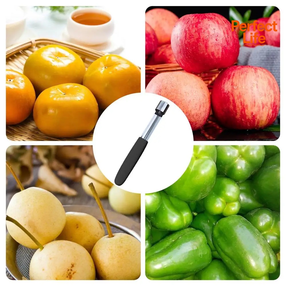 أداة إزالة البذور والبذور على  - مراجعة Kitchen Gadgets Hacks وسعره