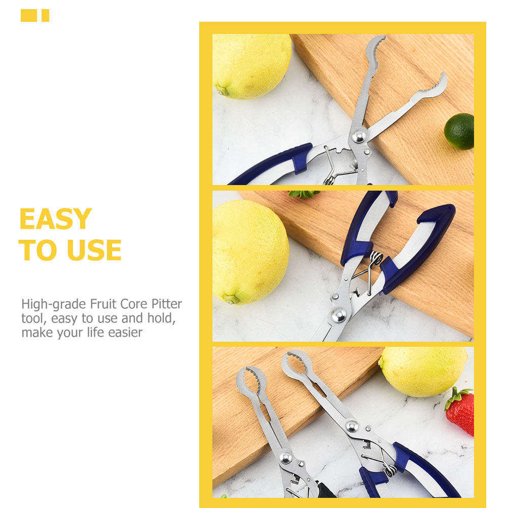 أداة إزالة نواة التوت من الفول - مراجعة Kitchen Gadgets Usa وسعره